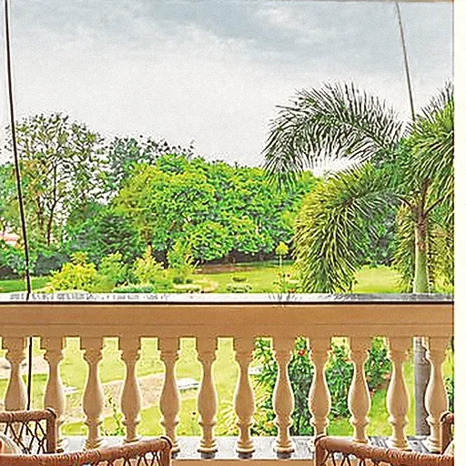 A shaded verandah with cane chairs looking out over palms